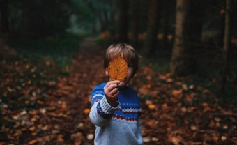 Kind Wald Herbst