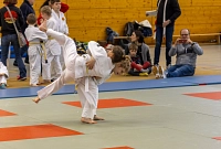 Judoverein Grimma 2024