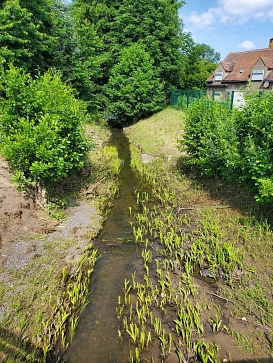 Wagelwitz Brücke © Julia Becher