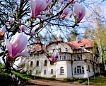 Magnolie im Park .  Horst Hamann/Klaus und Gerda Tschira Stiftung