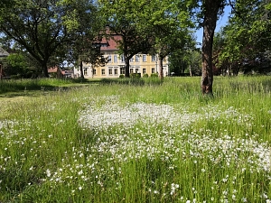 Mai_Jagdhaus Kössern